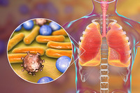 ��Ϻ��� ������ ���...�������� �Ƚ��ص� �ɱ�?