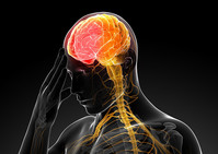 "ġ�� �����Ϸ��� '����'�� ���Ѷ�"​�� ���� ���..