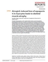 �ٸ����󺴿�, ������ ���� �Ը��� �����м��� ����