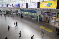 �ڷγ� �ű� Ȯ�� 198���� �����߻� 189�����ؿ����� 9��