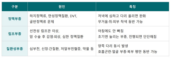 다리가 붓는 이유, 다 같은 부종이 아니다… 정맥부종·림프부종·질환성 부종 구분법