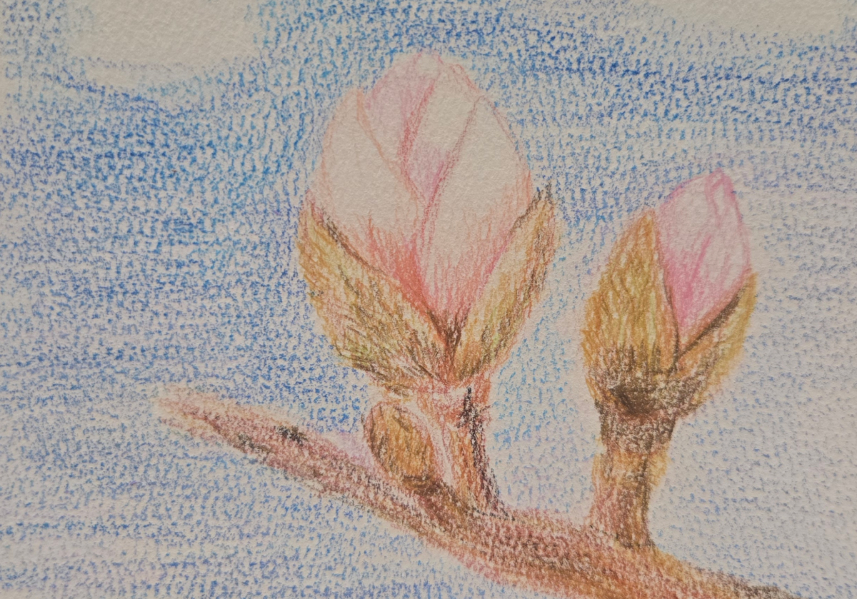 ��ǥ �̹���