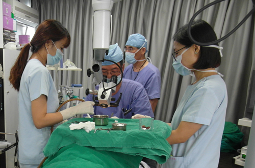 �����̹���