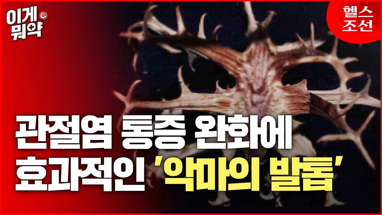 관절염 통증 완화한다는 생약 성분 '악마의 발톱', 과연 효과는?