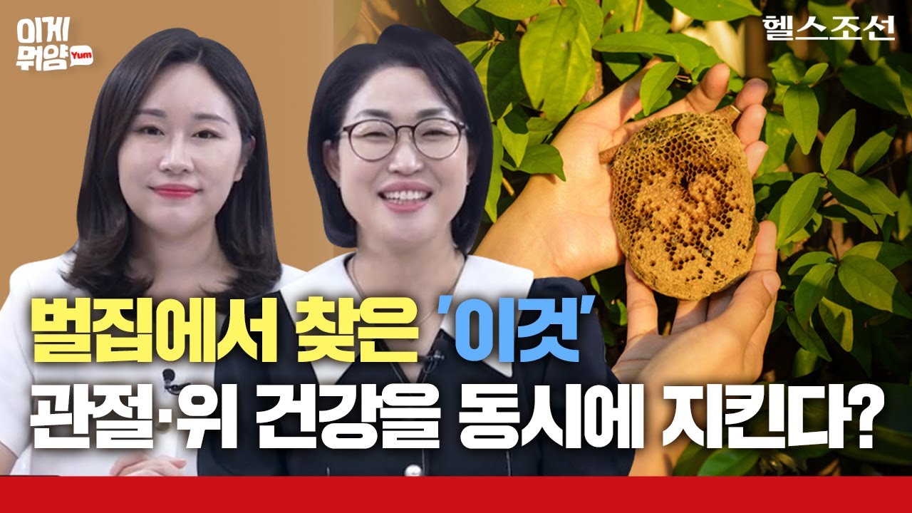 관절 건강이 무너지면 위 건강도 무너진다? 속 편~하게 케어할 수 있는 '이것'