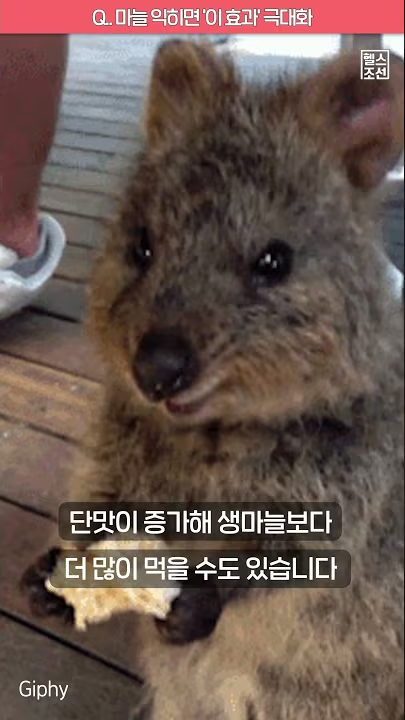 마늘 익히면 '이 효과' 극대화!