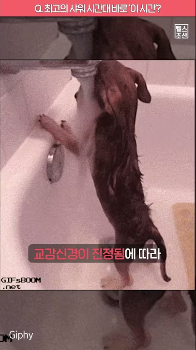 최고의 샤워 시간은 바로 '이 시간'?