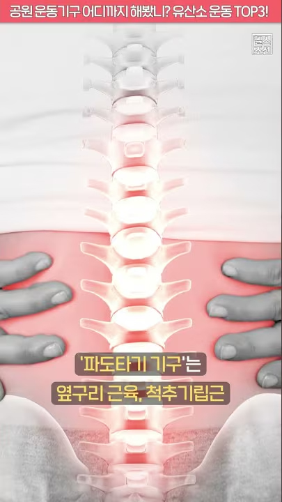 공원 운동기구 어디까지 해봤니? 유산소 운동 TOP3!