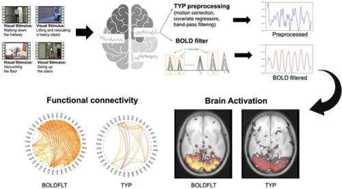 BOLD-filter ���� ������ ����� ���Ἲ �� �� Ȱ��ȭ �м���� / �̹�������=���̸޵����