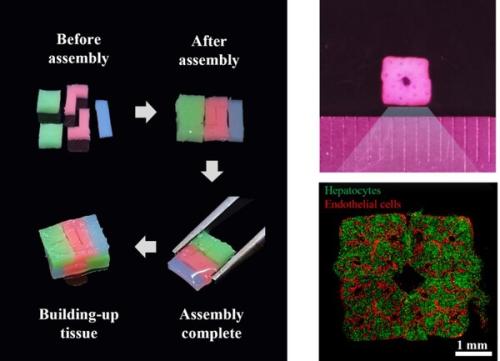 3D ���̿������õ� ���� ������ ���� ���� �� �̸� Ȱ���� ������ '�������� �����ϴ� �� ����' �̹���, ��������=Ƽ�ؾ˹��̿���
