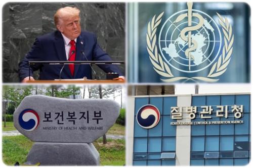 (���� ��ܺ��� �ð��������)Ʈ���� �̱� �����, WHO ��ũ,&nbsp; ����û ����, ������ ǥ����&nbsp;/ ������ó=WHO, ��ǰ�, ���нŹ� DB