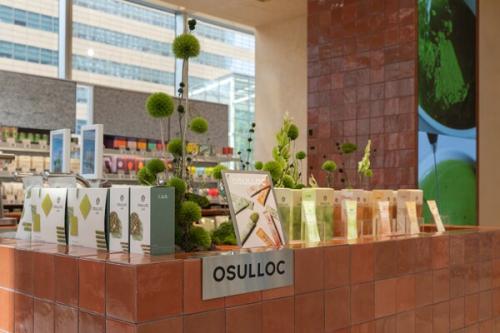 Ƽ �� ���� �̹���/ ���� ����=������