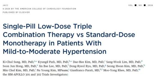 JACC ���ο� ����� �ѹ̾�ǰ '�Ƹ�����' 3�� ����.(��������=�ѹ̾�ǰ)