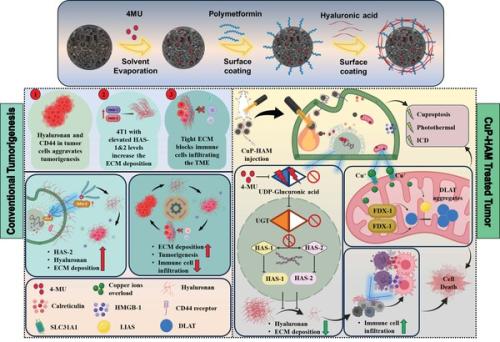 �ٱ�ɼ� ����-�����÷����� ���� �̼�ȯ�� �ı� �� �鿪 ���� ���� ��ĵ� (���� = �����Ǵ� ���α� ���� ����)