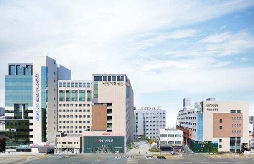 ����:���׼����⵶����, ���� �ΰ����� �κ����� ��� ��ROSA�� ����