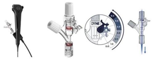 (���ʺ���) ���θ޵��ñ׷� ����������ð� '��罺(URUS)'�� '��Ʈ��(Port-C)'�� ������ �ִ� ����� ��Ʈ����������=���θ޵��ñ׷�