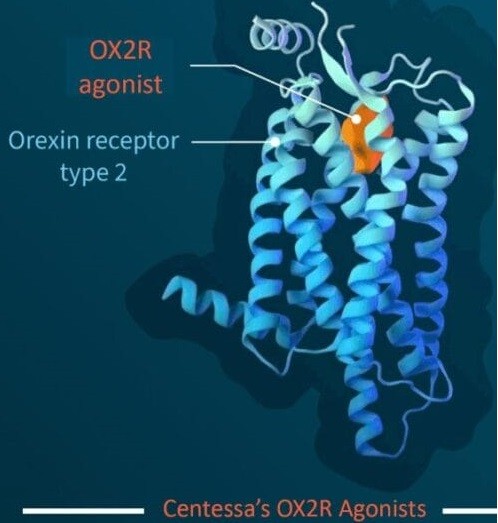 MOA (��ó = ���׽�)