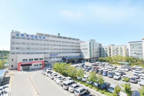 �������Ϻ��� ����