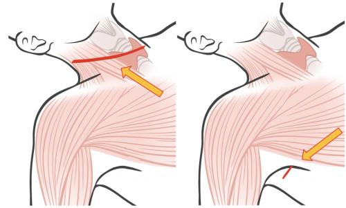 ���ʺ��� ��������ļ���û���� ����� ���� ����, GOSTA ���� ����.