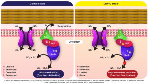 �ڷ�=��������Ƿ����