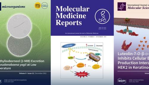 ����ƽ���� ������ ��������� OraCMU�� ���� ȿ���� ��ɼ��� ������ 38���� ���������� ����ƴ�.