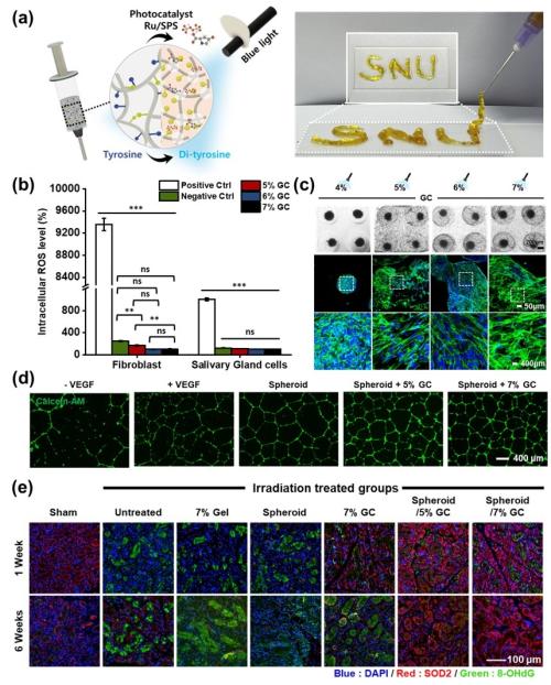(a)�ٱ⼼�� ������̵� ž�� �׻�ȭ ���̺긮�� �ܹ��� ����ü�� ��ü ���� (b)����ü ���� �� ħ�� �� �����Ƽ��� �� Ȱ����� ���� �׷��� (c)����ü �� �ٱ⼼�� ������̵� ž�� �̹��� (d)���� ġ�� �ý��ۿ� ���� ���� �Ż� �̹��� (e)����ü �ֻ� �� õ�� �׻�ȭ ȿ�� ���� ���� �� ��ȭ��Ʈ���� ��ǥ ���Ҹ� ��Ÿ���� ���� ���� �̹���