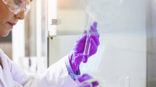 ������ BMS �������� R&amp;D ����̴�.