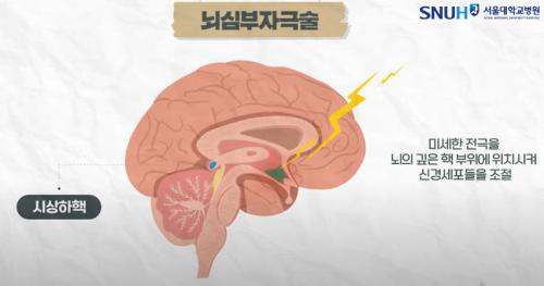 ���ɺ��ڱؼ�