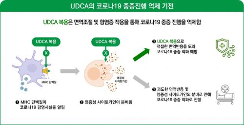 UDCA COVID 19    [@]<br>