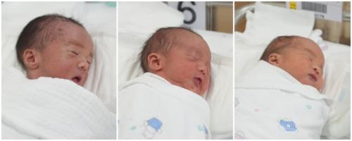 (���ʺ���) ���ֵ��� �Ϲ�, �Ϻ�, ����.