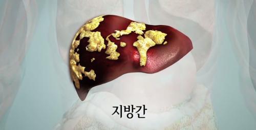 [KBS ���κ����� ��� ���ȭ�� ĸó] ���氣