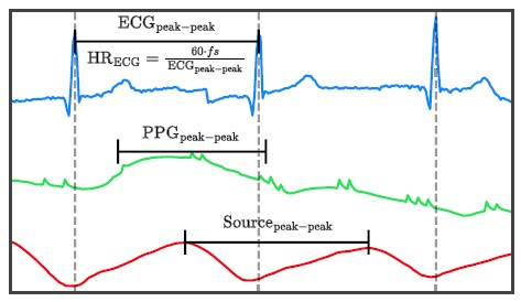 [������(�Ķ���), ���������� �� ��ȣ(�ʷϻ�), �ΰ��������� �и��� �ٿ� ��ȣ(������) ���� �׷���] �и��� �ٿ� ��ȣ������ ������ ���� ���� �ڵ� ������ ��ġ�ϴ� ��ũ�� �ѷ��ϰ� ��Ÿ����. [�׷���=����뺴��]