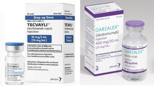 ����:������������ �ٹ߼������ ���������� ������ �븮��