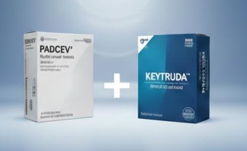 ȭ������ '�ĵ��'+MSD�� 'ŰƮ���'