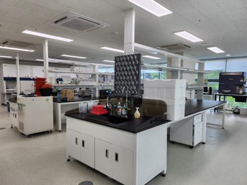 �Ŷ��� ���� ������[����=�Ŷ��� ����]