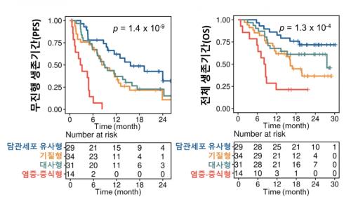 ����������Ⱓ�� ��ü�����Ⱓ �м� ���, 4���� ���� �� ������� ������ �������� ���þ� ġ�� ȿ���� ���� ����߰�, ����-������ ������ TP53 ���̿� �鿪������ ���� �̼�ȯ��� ������ ��������� ���� �ҷ��� ���ĸ� ������.