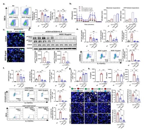 NGO�� ���� �Ǽ� ȯ�� ���� �鿪���� �� �����ܵ帮�� ��� ȸ�� �� STAT3-IL-17�� ������ ���� ����