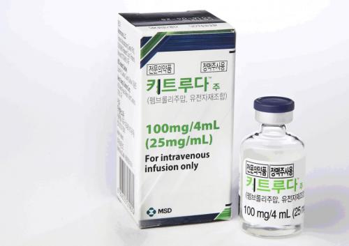 �ѱ�MSD ��ŰƮ���?�?