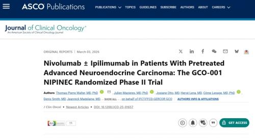 �������� ������ ���� �м��� ������ ���� Ŭ������ ���ݷ���(JCO, Journal of Clinical Oncology)���� ��ǥ��&nbsp; 'NIPINEC' �ӻ� 2�� ���