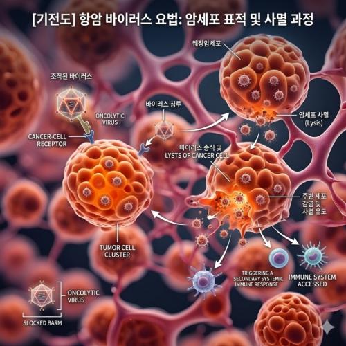�ѵ��� ������ ���׾� ���̷���(Oncolytic Virus)��&nbsp;����� ��ġ�� ���� ġ���ϱ� ���� ���ο� ������� �ָ�ް� �ִ�.&nbsp;[�ڷ�: �ｺ�ڸ��ƴ��� AI �����׷��� ����]