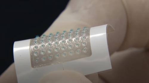 ����ũ�δϵ���ġ [��ó:YTN ĸó]