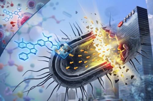 [����=AI ���̳��� ���� �̹���]