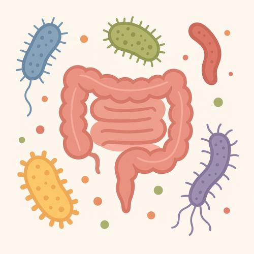 �峻�̻���(AI���� �̹���)