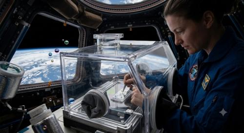 ��������������(ISS) ���ο��� �������� �̼��߷� ȯ���� Ȱ���� ���̿� �Ǿ�ǰ ������ �����ϰ� �ִ�. ���� ������ ������ ������ �Ѱ踦 �غ��ϰ� �ž� ������ ���ӻ� �Ⱓ�� ȹ�������� ������ �� �ִ� ���ο� ���� ����� �ָ�ް� �ִ�. (������ ����� ���ظ� ���� ���� AI ���̳��̸� �̿��� ������ ������ �̹��� ��)
