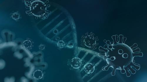 RNA �ܹ��� ���̷���