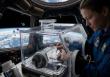 ��������������(ISS) ���ο��� �������� �̼��߷� ȯ���� Ȱ���� ���̿� �Ǿ�ǰ ������ �����ϰ� �ִ�. ���� ������ ������ ������ �Ѱ踦 �غ��ϰ� �ž� ������ ���ӻ� �Ⱓ�� ȹ�������� ������ �� �ִ� ���ο� ���� ����� �ָ�ް� �ִ�. (������ ����� ���ظ� ���� ���� AI ���̳��̸� �̿��� ������ ������ �̹��� ��)