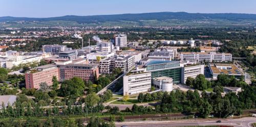 �������ΰ����� ���� [����=CC BY-SA 4.0, via Wikimedia Commons]