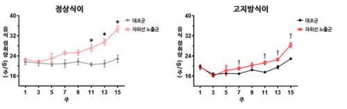 (׷ 2) ڿܼ ⱺ    뷮 