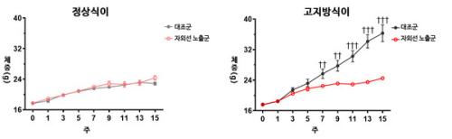 (׷ 3) ڿܼ ⱺ  뷮    ü  . Ư  ׷쿡 ڿܼ   ü     Ÿ