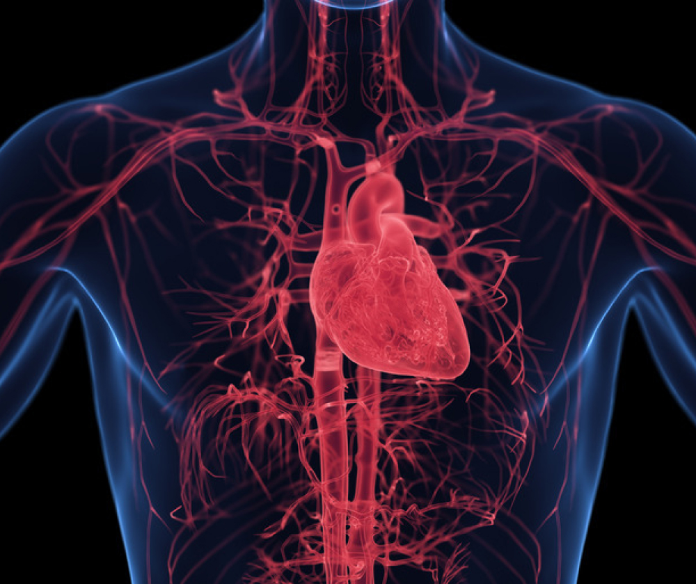 ���� ���� ���� �ٴµ�, �索 �պ��� ��ȣ�ΰ���?